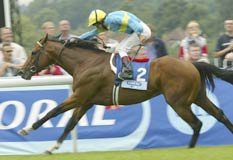 HorseRacing