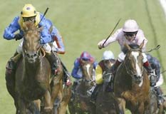 Horses